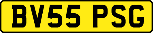BV55PSG