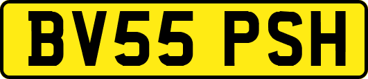 BV55PSH