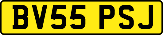 BV55PSJ