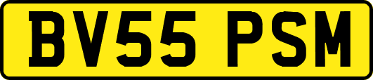 BV55PSM