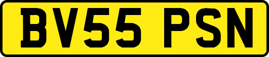 BV55PSN