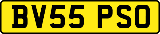 BV55PSO
