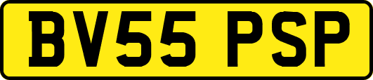 BV55PSP