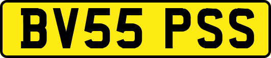 BV55PSS