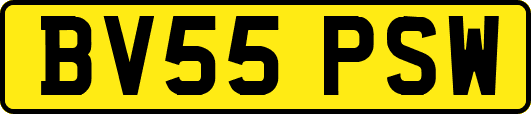 BV55PSW