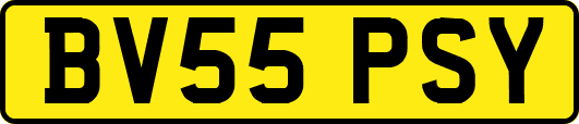 BV55PSY