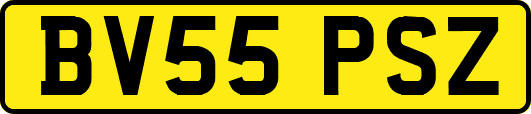 BV55PSZ