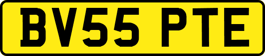 BV55PTE