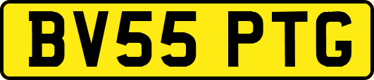 BV55PTG