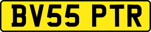 BV55PTR