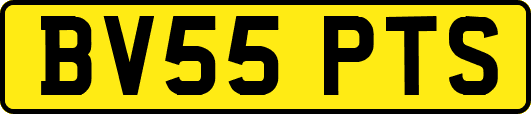 BV55PTS