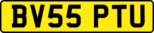BV55PTU