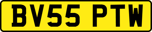 BV55PTW