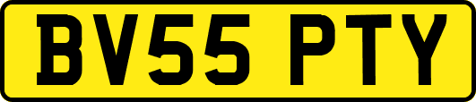 BV55PTY