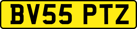 BV55PTZ