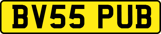 BV55PUB