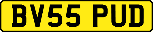 BV55PUD