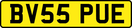 BV55PUE