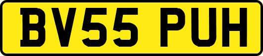 BV55PUH