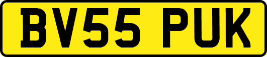 BV55PUK