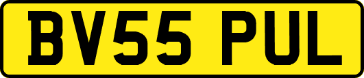 BV55PUL