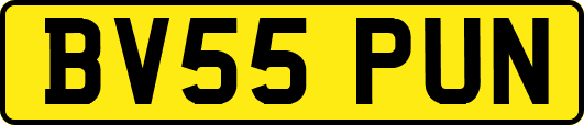 BV55PUN