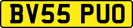 BV55PUO