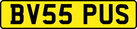 BV55PUS