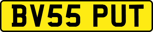 BV55PUT