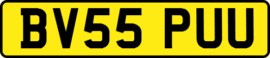 BV55PUU