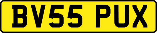 BV55PUX