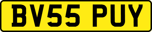 BV55PUY