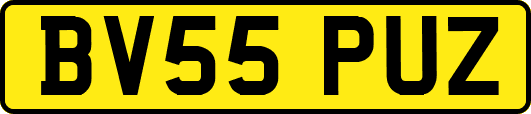 BV55PUZ