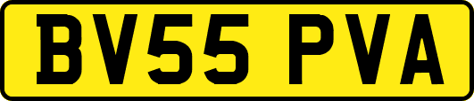 BV55PVA