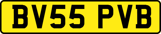 BV55PVB