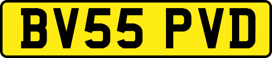 BV55PVD