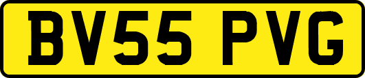 BV55PVG