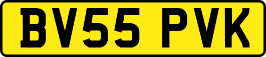 BV55PVK