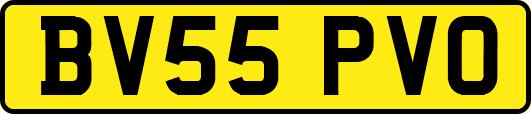 BV55PVO