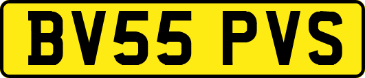 BV55PVS