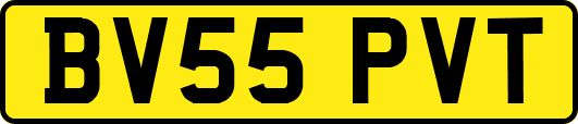BV55PVT