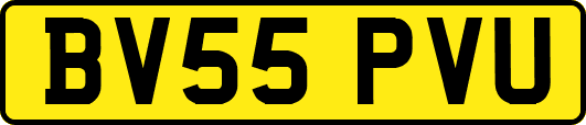 BV55PVU