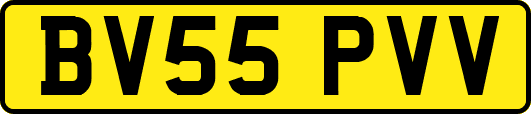 BV55PVV
