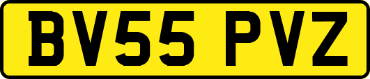BV55PVZ