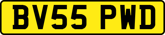 BV55PWD