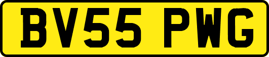 BV55PWG