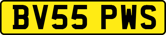 BV55PWS