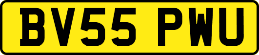 BV55PWU