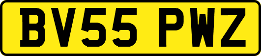BV55PWZ