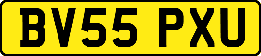 BV55PXU